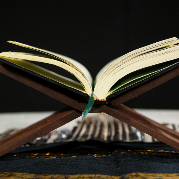 untitled design (16)