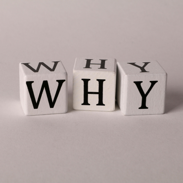 untitled design (25)